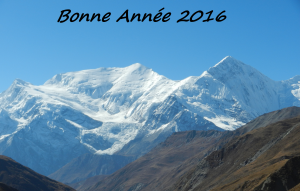 Bonne Année 2016